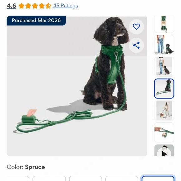Brand New Wild One Harness and Leash
